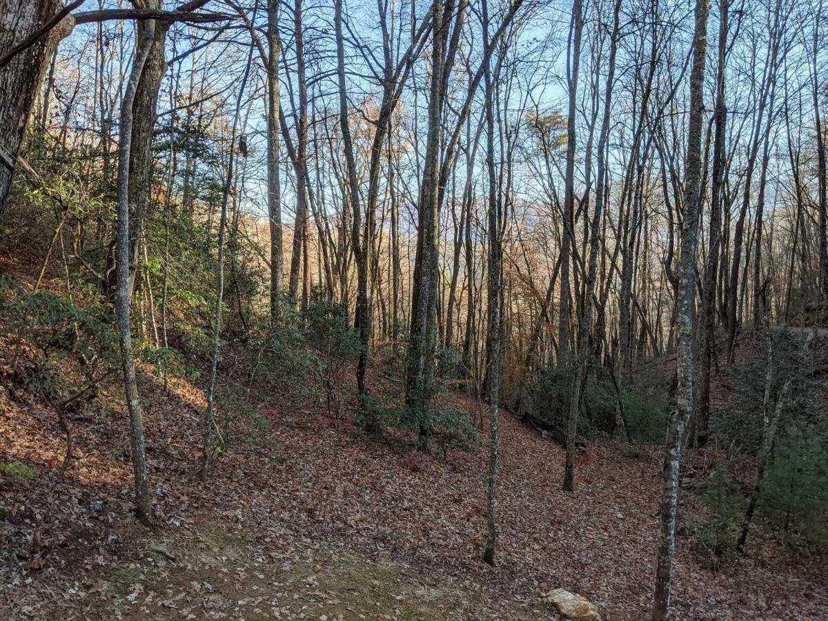 Deep Creek Hideaway Cabin Bryson City Εξωτερικό φωτογραφία
